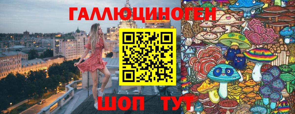 Псилоцибиновые грибы Psilocybine cubensis Строитель