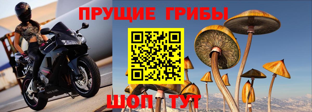 Псилоцибиновые грибы ЛСД  Вход с VPN  Псилоцибиновые грибы ЛСД  Строитель 